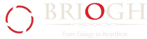Briogh Logo